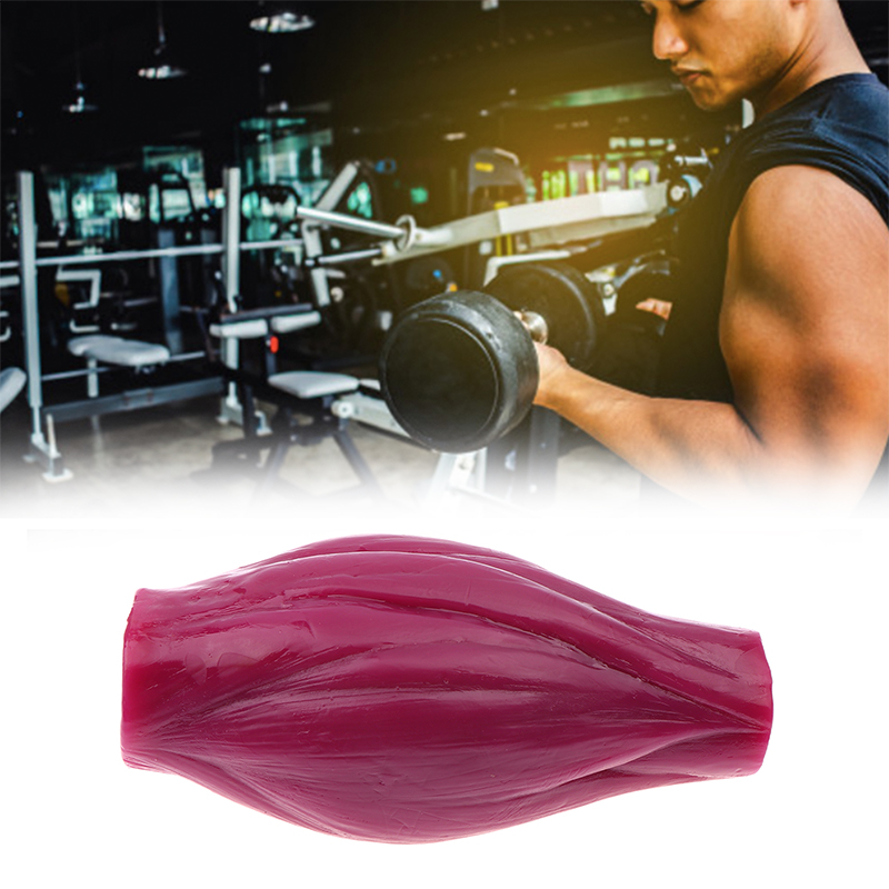Nutrition Fitness Center - 1ポンドの筋肉で健康維持＆減量モチベーションを高めるためのファットモデル（栄養＆科学コース＆フィットネスセンター向け）